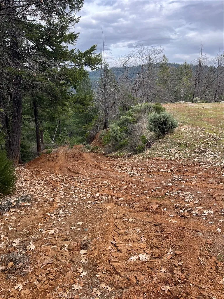 38041 State Highway 3 Weaverville, CA 96052