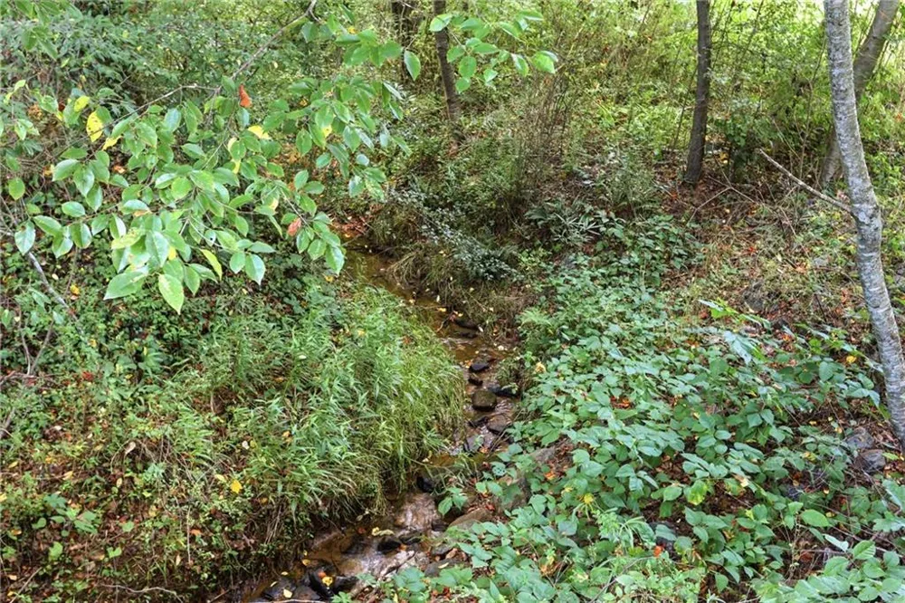 5911 Wauka Valley Pass Clermont, GA 30527
