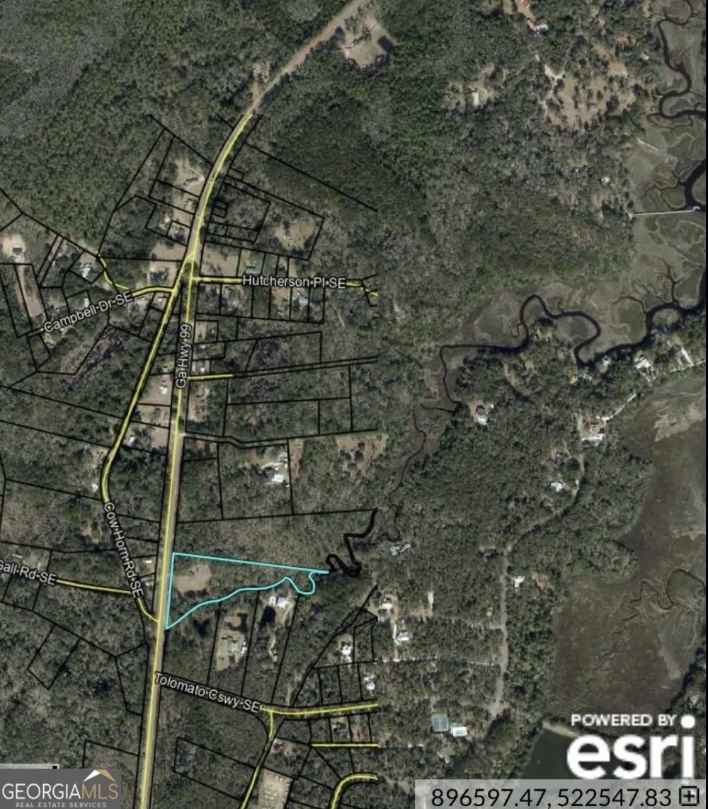 11817 Ga Highway 99 Darien, GA 31305