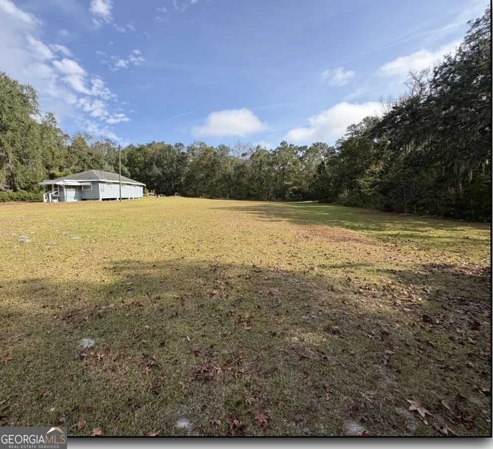11817 Ga Highway 99 Darien, GA 31305