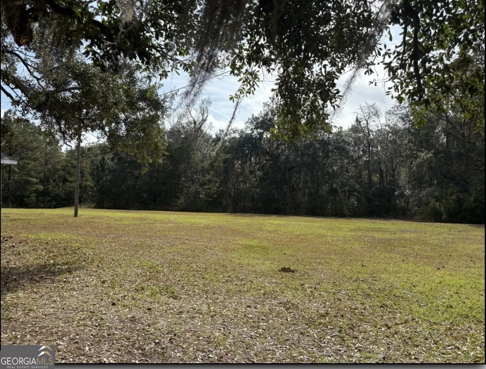 11817 Ga Highway 99 Darien, GA 31305