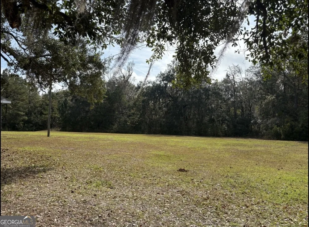 11817 Ga Highway 99 Darien, GA 31305