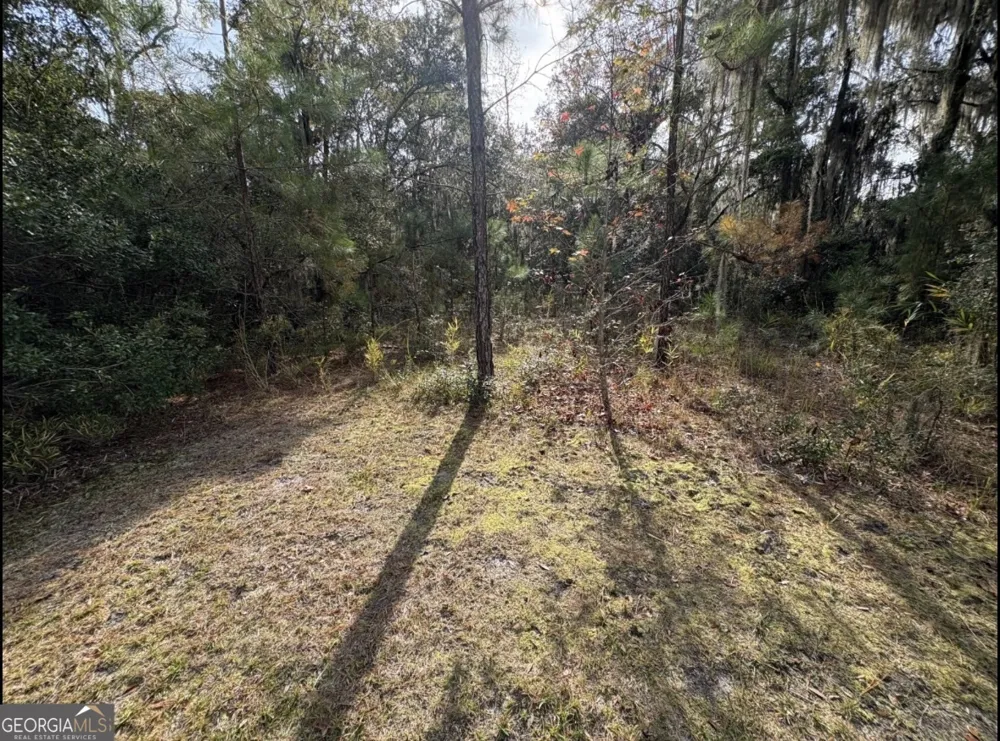 11817 Ga Highway 99 Darien, GA 31305