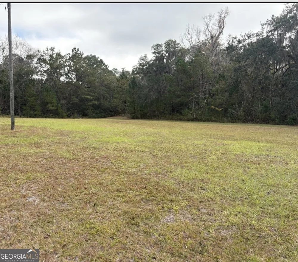 11817 Ga Highway 99 Darien, GA 31305