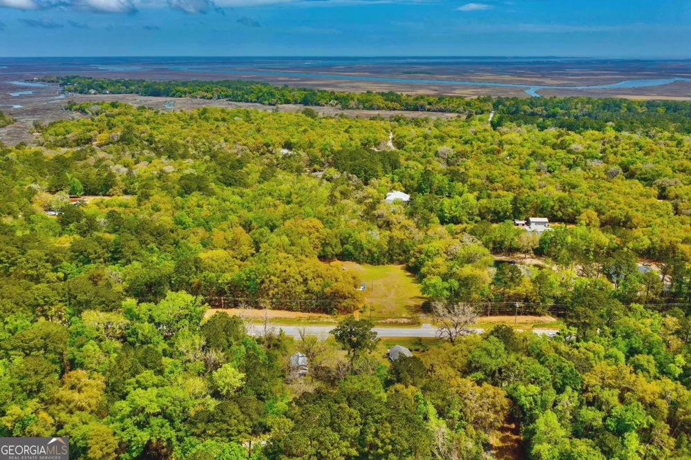 11817 Ga Highway 99 Darien, GA 31305