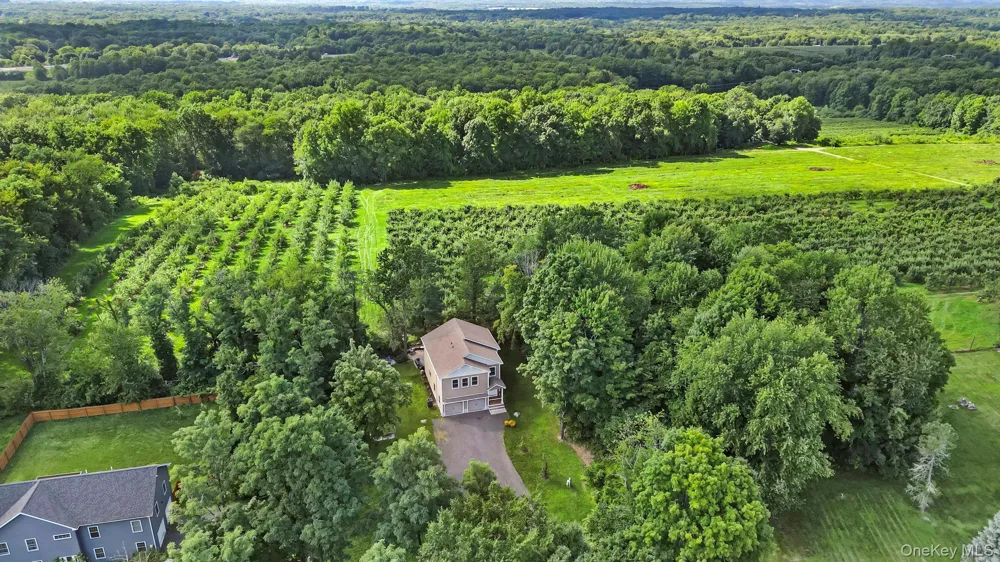 1317 Route 44/55 Clintondale, NY 12515