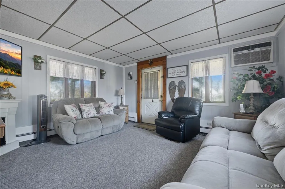 62 Linden Boulevard Hicksville, NY 11801