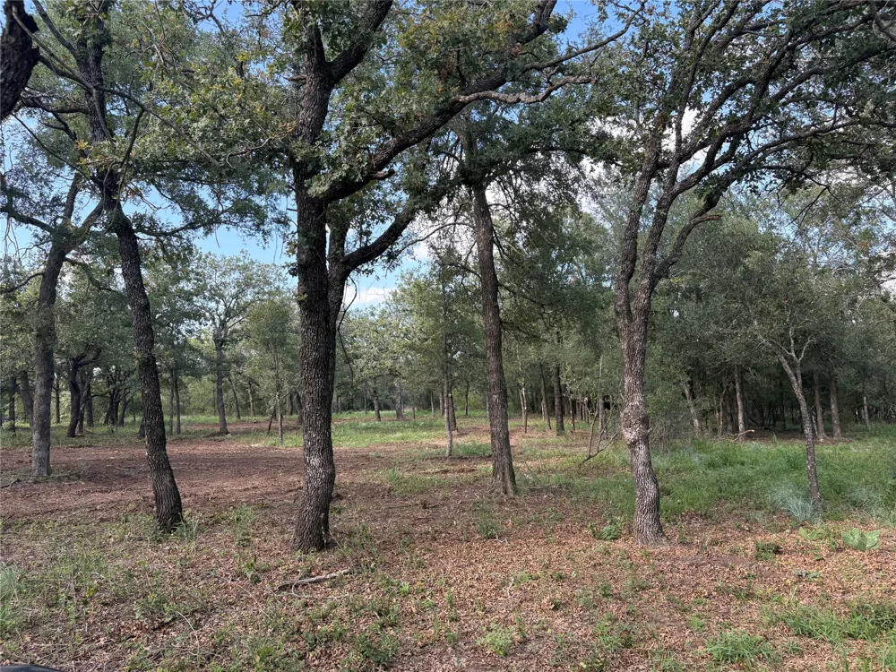 10979 County Road 401 Dublin, TX 76446