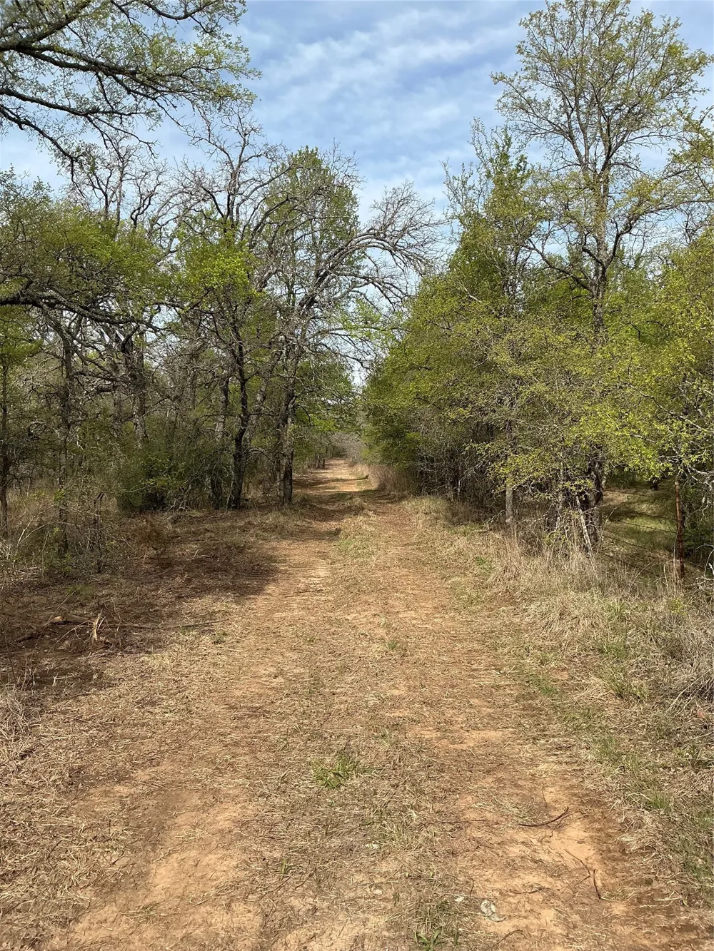 10979 County Road 401 Dublin, TX 76446