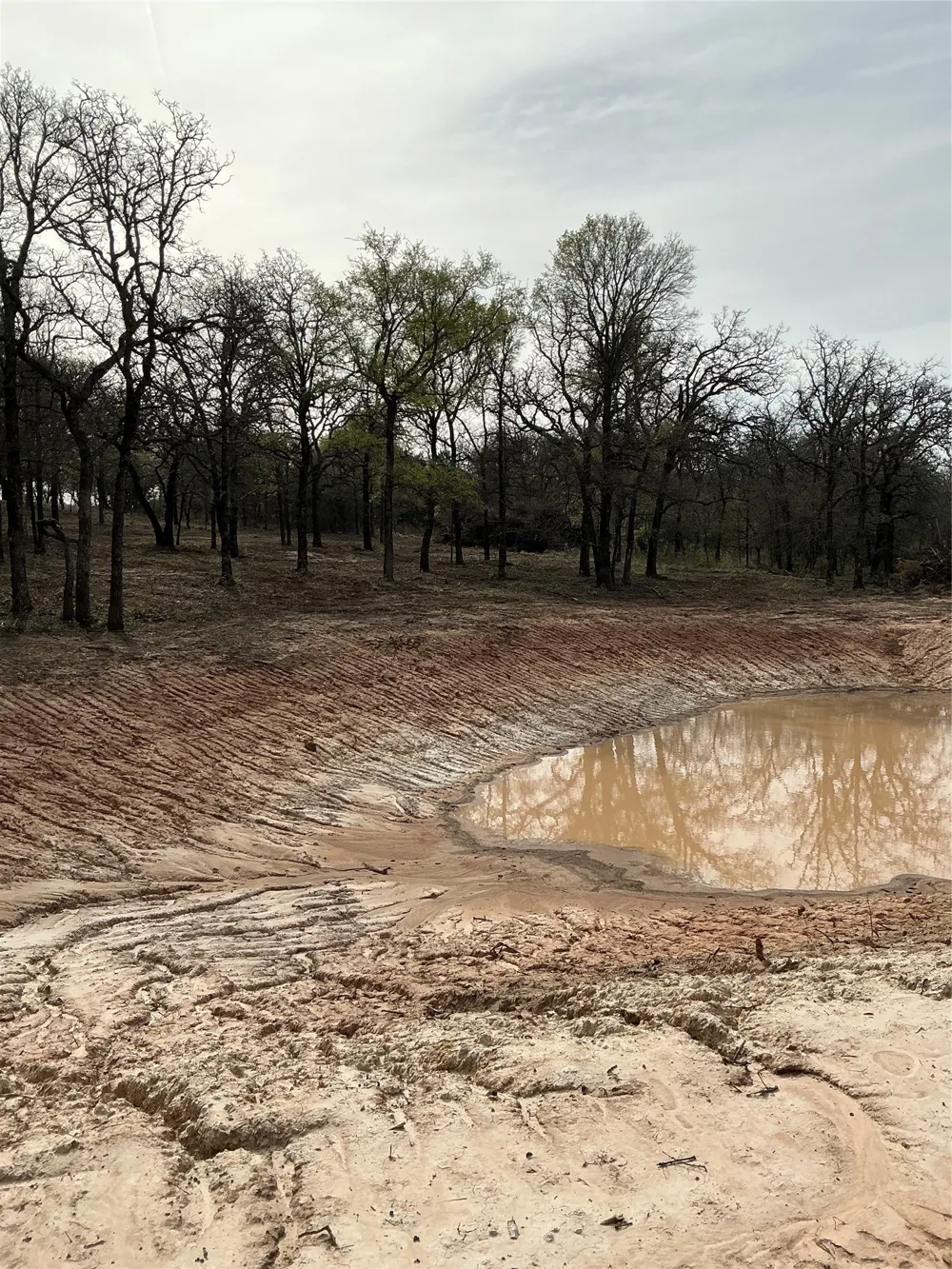 10979 County Road 401 Dublin, TX 76446