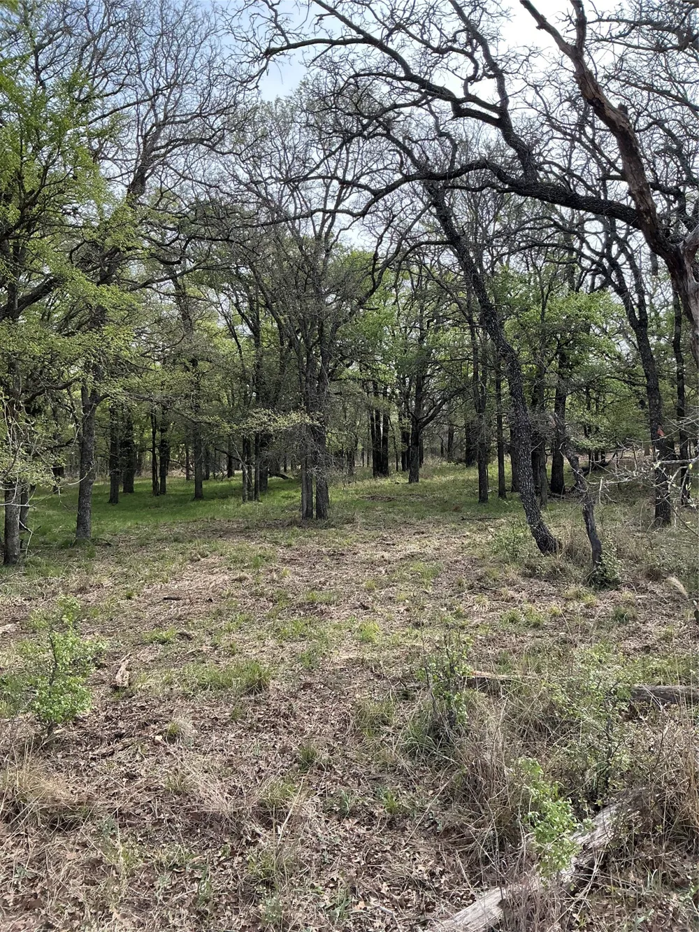 10979 County Road 401 Dublin, TX 76446
