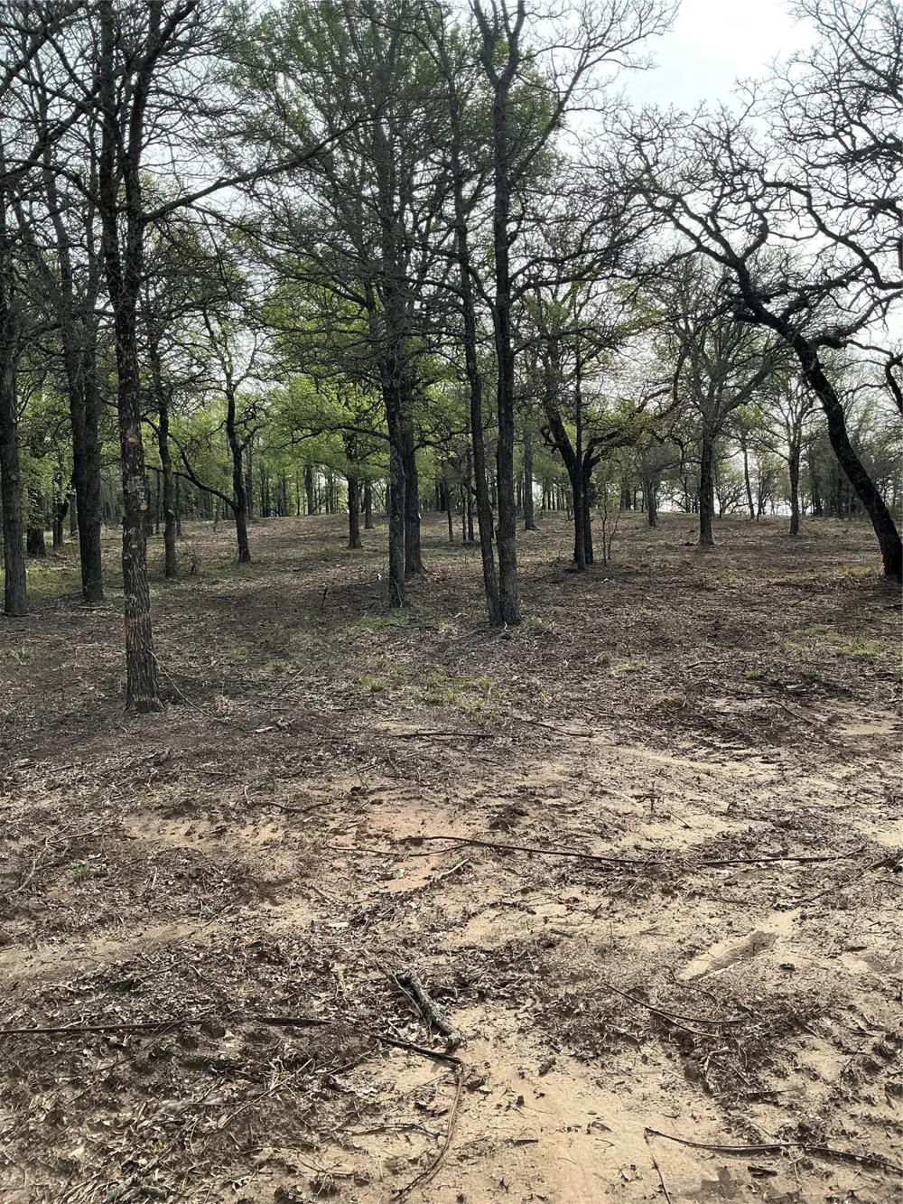 10979 County Road 401 Dublin, TX 76446