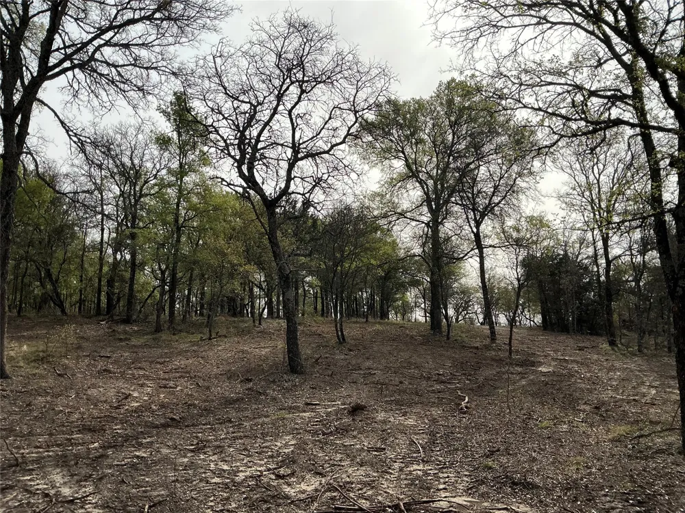 10979 County Road 401 Dublin, TX 76446
