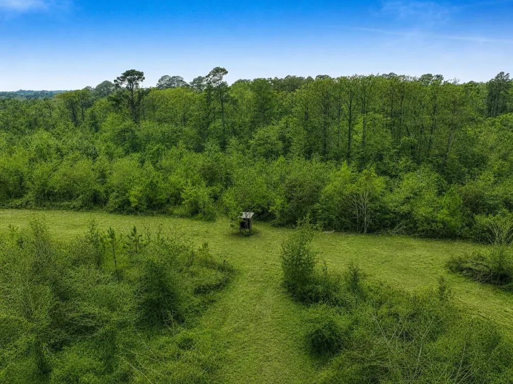 Fm 1012 Newton, TX 75966