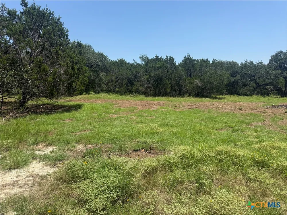 2090 Wegner Road New Braunfels, TX 78132