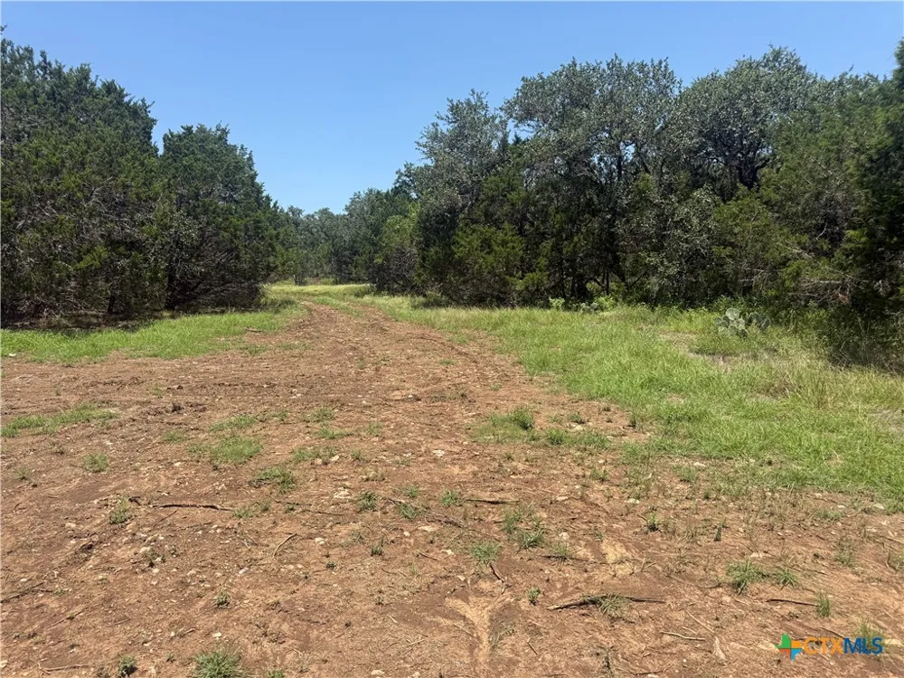 2090 Wegner Road New Braunfels, TX 78132