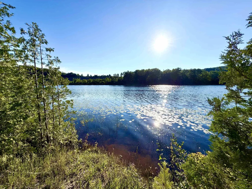7932 Rushton Road Banks Township, MI 49729