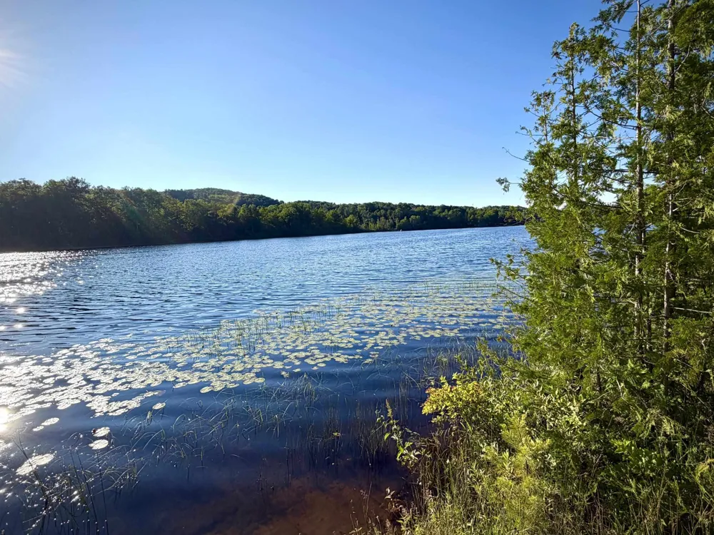 7932 Rushton Road Banks Township, MI 49729