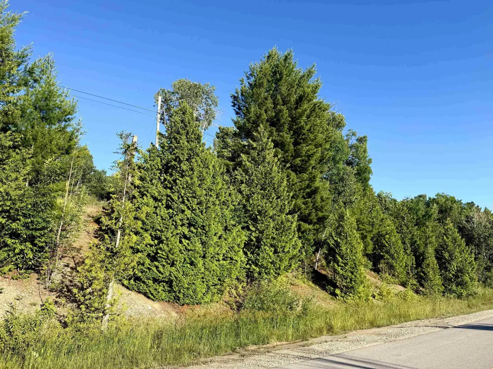 7932 Rushton Road Banks Township, MI 49729