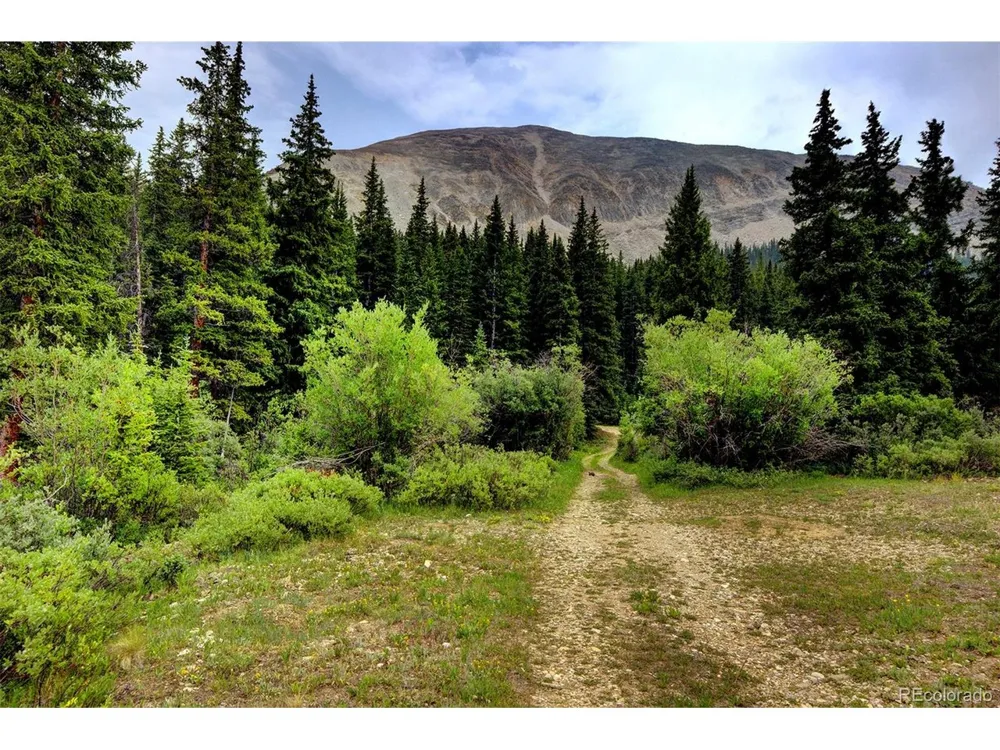 9562 CO RD 18 Fairplay, CO 80440
