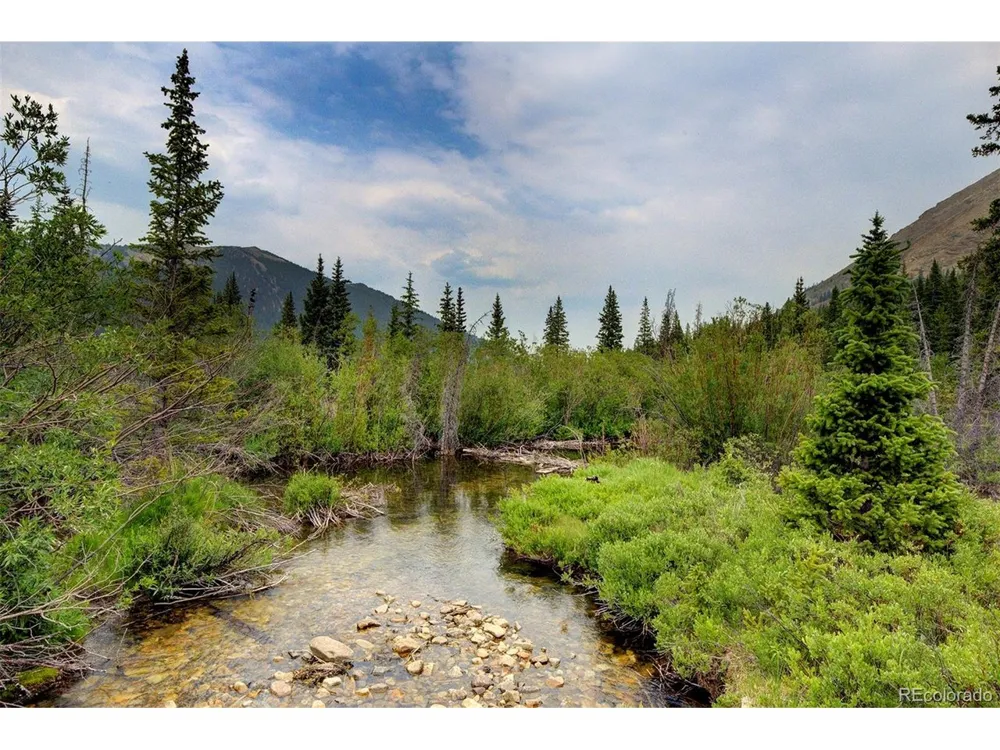9562 CO RD 18 Fairplay, CO 80440