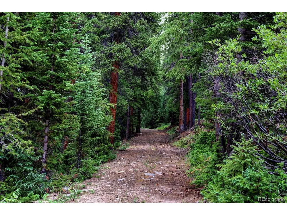 9562 CO RD 18 Fairplay, CO 80440