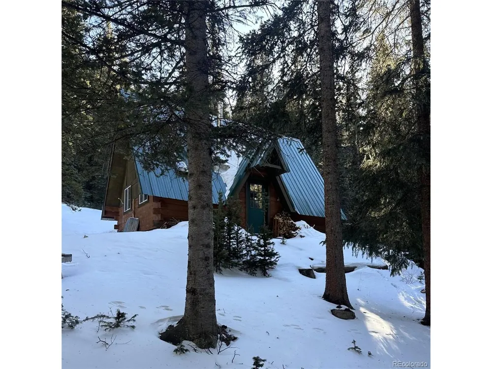 9562 CO RD 18 Fairplay, CO 80440