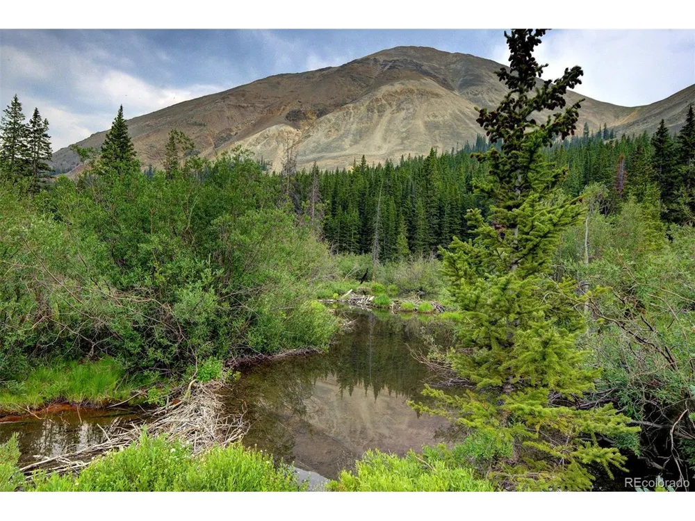 9562 CO RD 18 Fairplay, CO 80440