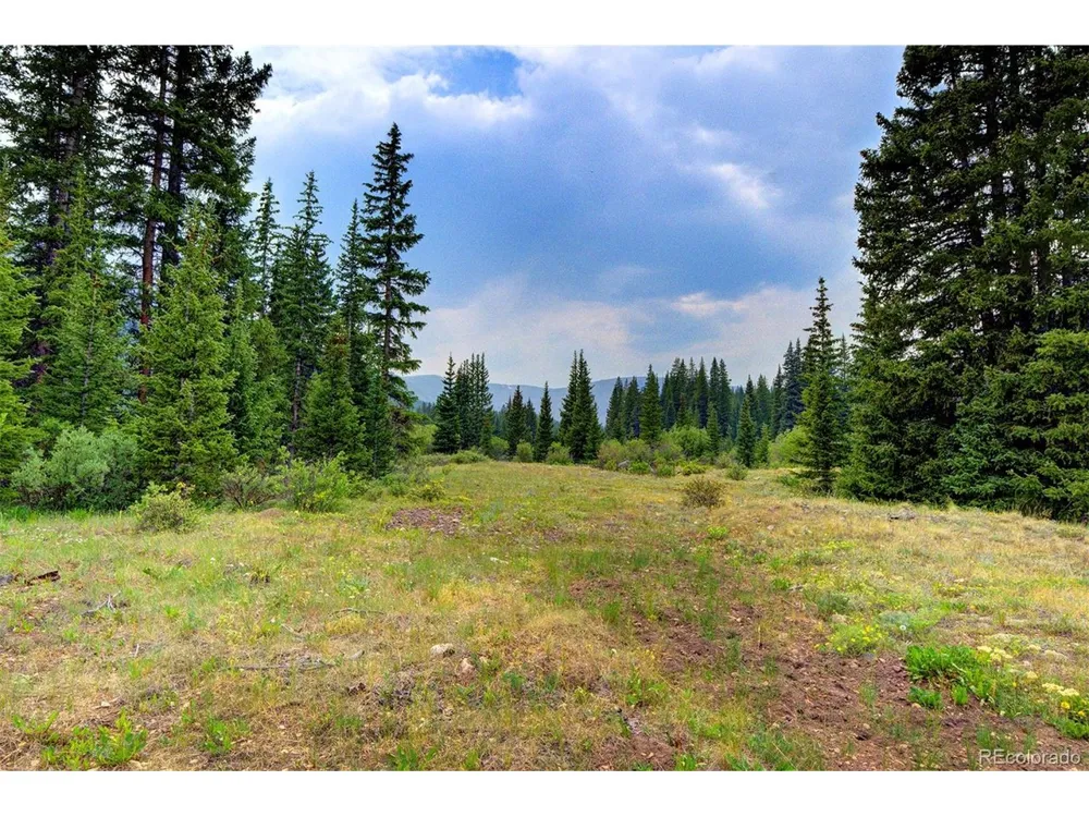 9562 CO RD 18 Fairplay, CO 80440