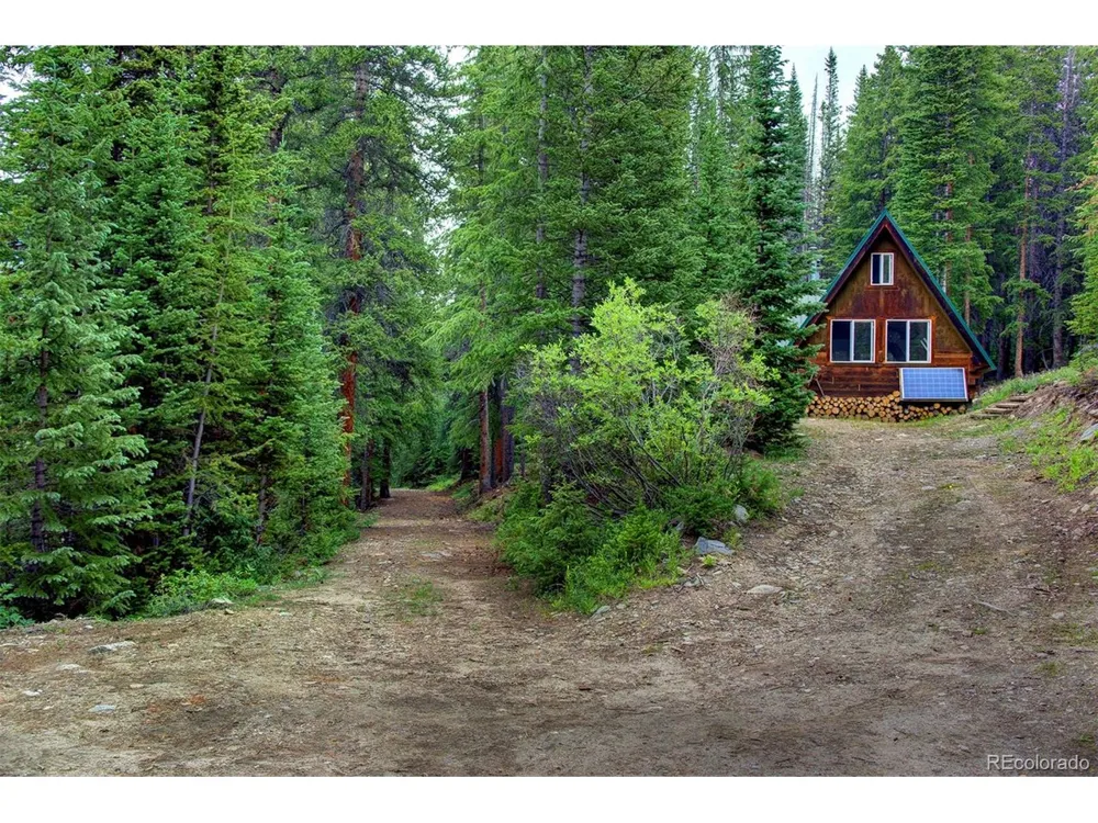 9562 CO RD 18 Fairplay, CO 80440