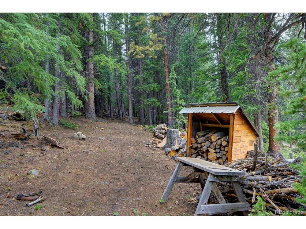 9562 CO RD 18 Fairplay, CO 80440