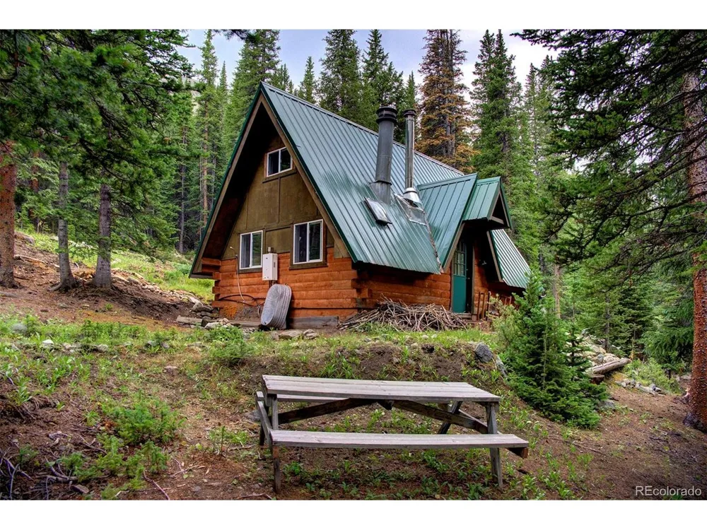9562 CO RD 18 Fairplay, CO 80440