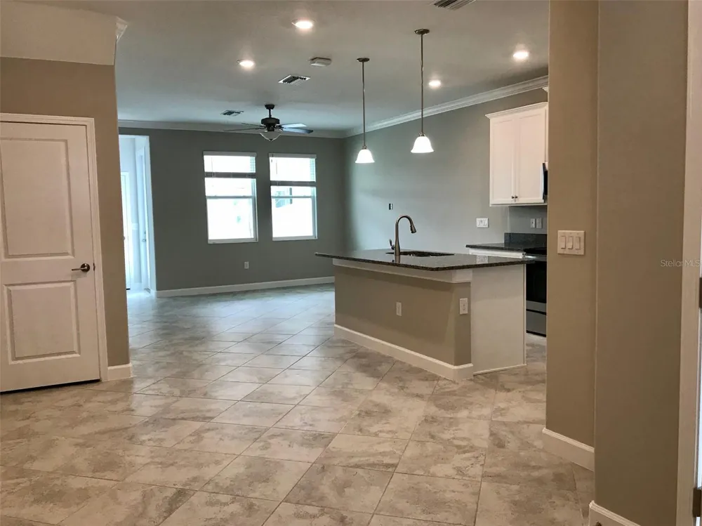 18672 NOBLE CASPIAN DRIVE Lutz, FL 33558