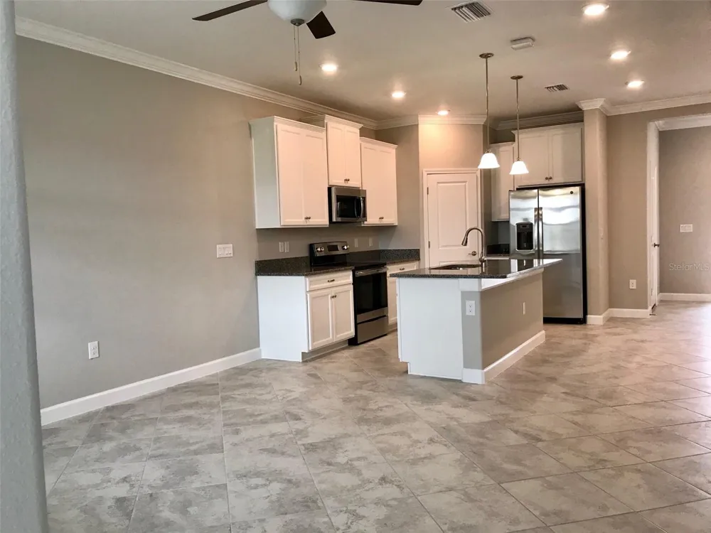 18672 NOBLE CASPIAN DRIVE Lutz, FL 33558