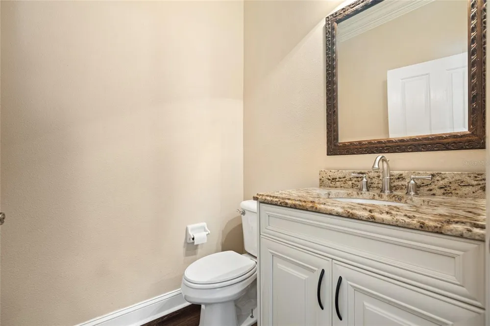 1630 TAWNYBERRY COURT Trinity, FL 34655