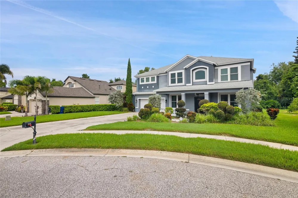 1630 TAWNYBERRY COURT Trinity, FL 34655
