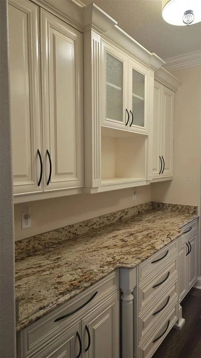 1630 TAWNYBERRY COURT Trinity, FL 34655