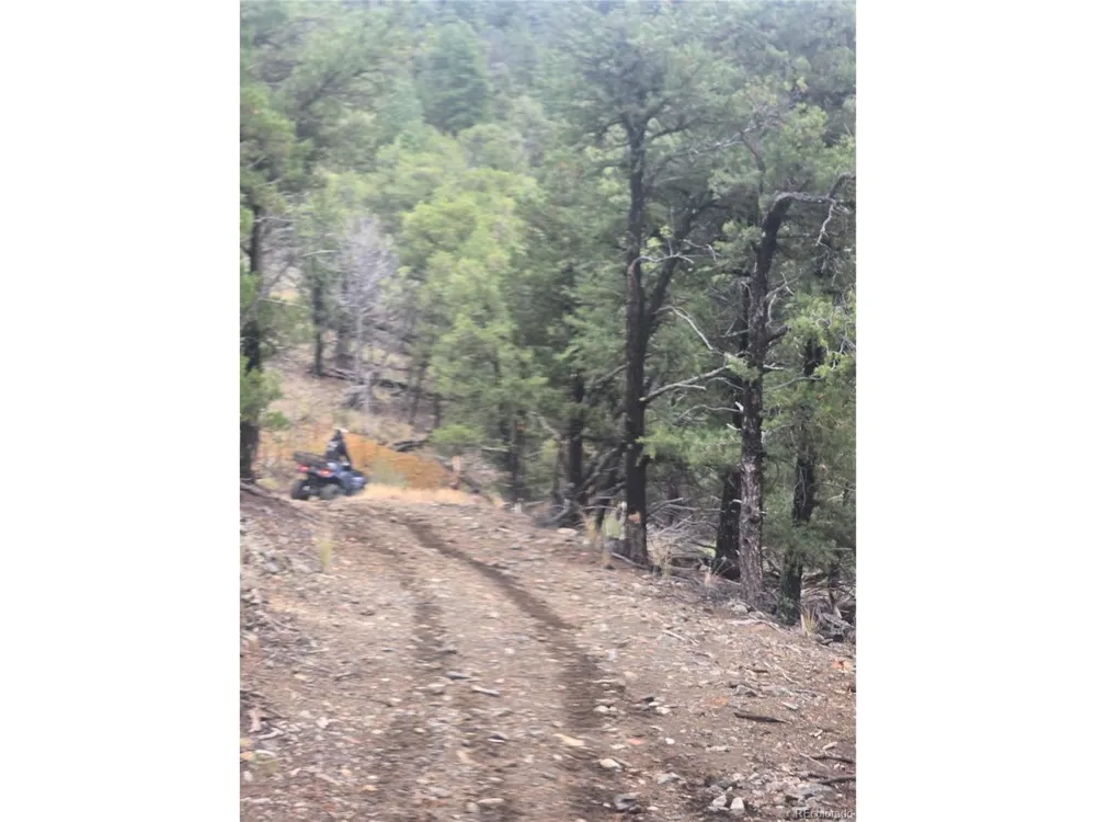 Address Not Shown Cotopaxi, CO 81223