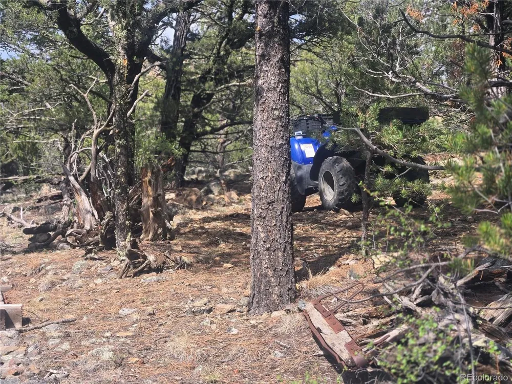Address Not Shown Cotopaxi, CO 81223