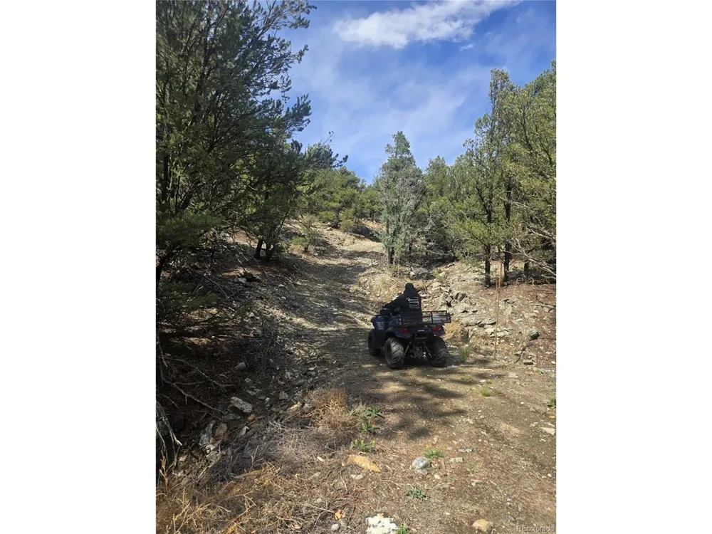 Address Not Shown Cotopaxi, CO 81223