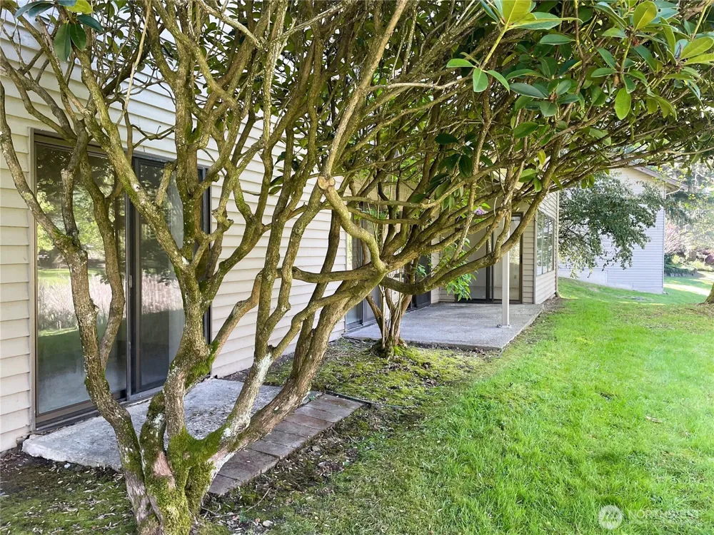 1101 Bellefield Park Lane #1103 Bellevue, WA 98004