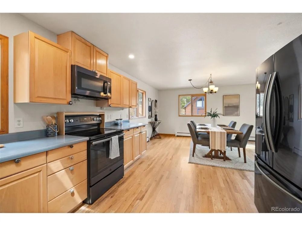 9149 Fallen Rock Road Conifer, CO 80433