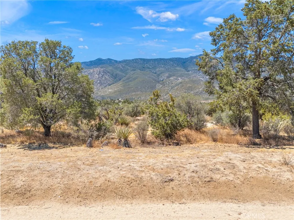 1 Sonora Mountain Center, CA 92561