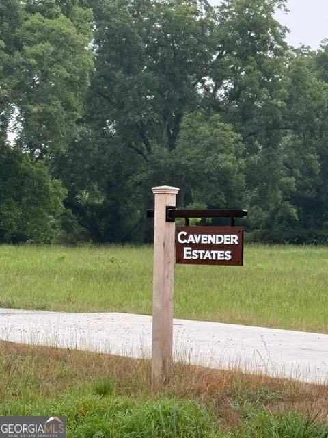 0 Bob Smith RD Sharpsburg, GA 30277