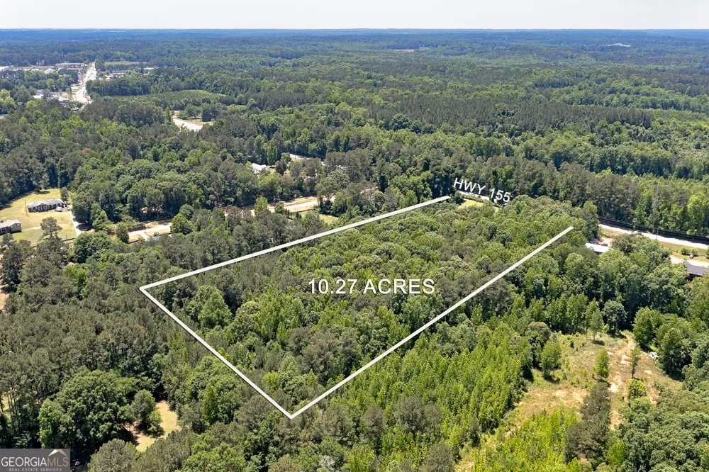 2534 Highway 155 N McDonough, GA 30252