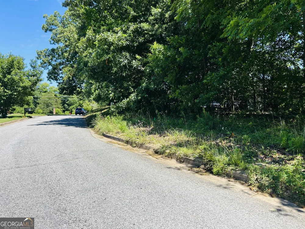810 Austin DR Demorest, GA 30535