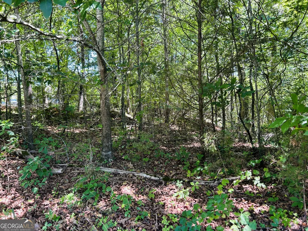 810 Austin DR Demorest, GA 30535