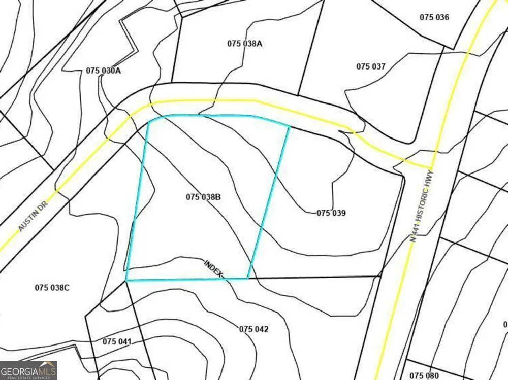 810 Austin DR Demorest, GA 30535