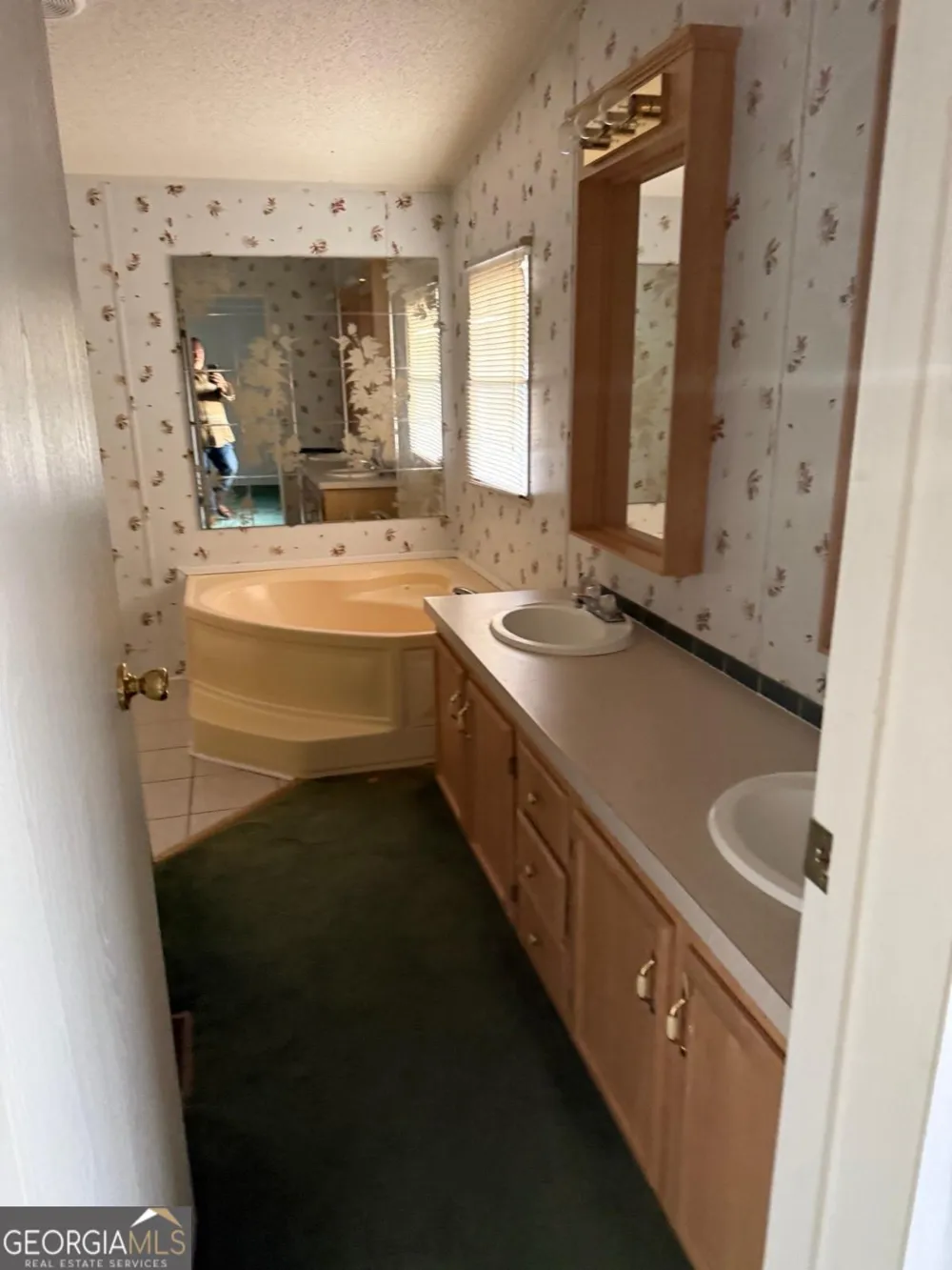 415 McIntosh TRL Senoia, GA 30276