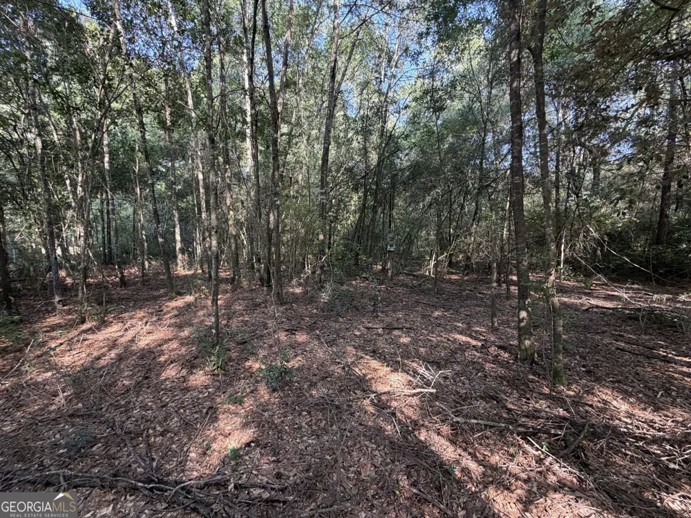 399 Perdue RD Defuniak Springs, FL 32433